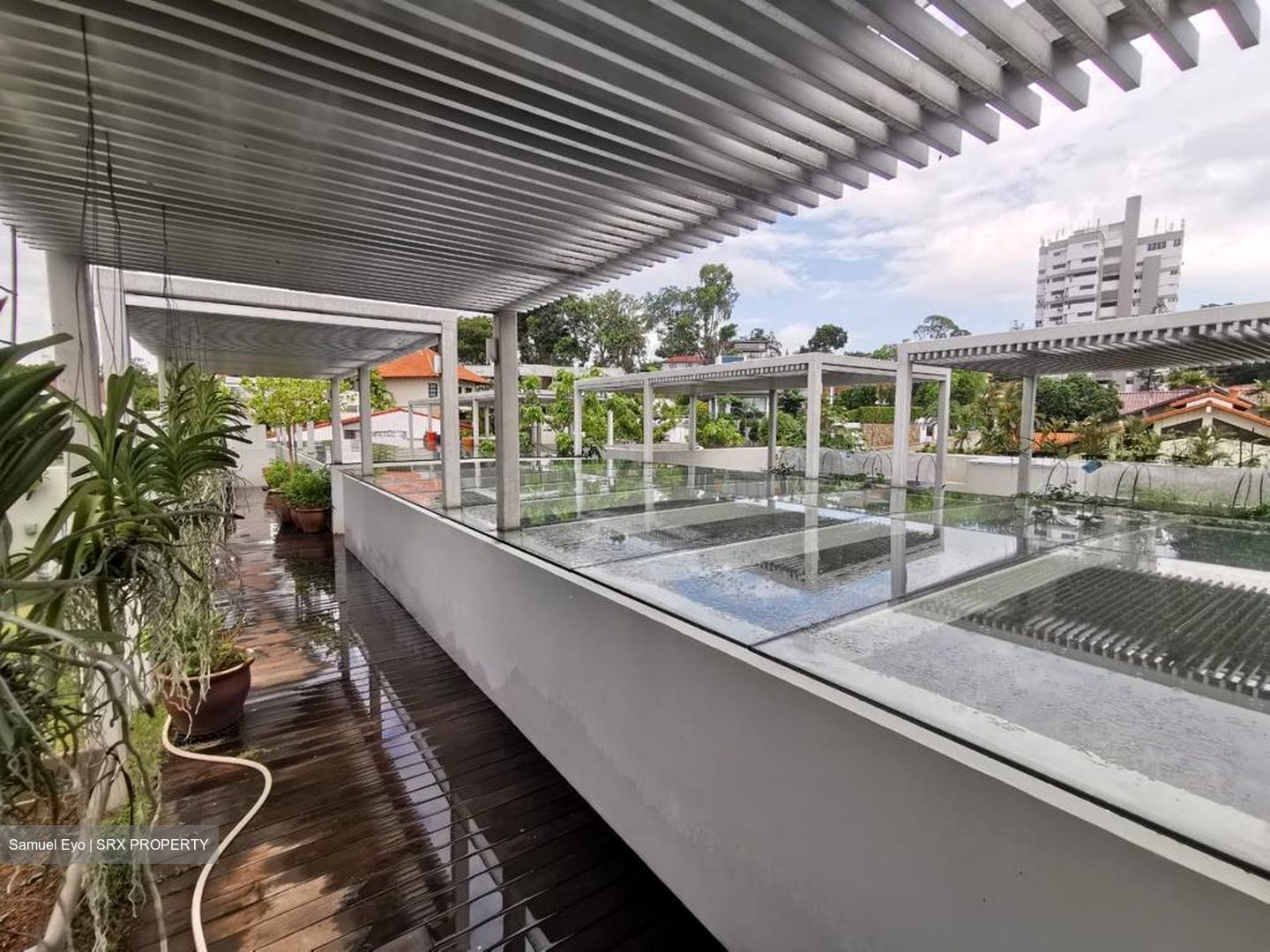 Holland Park (D10), Detached #447960921